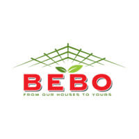 Bebo