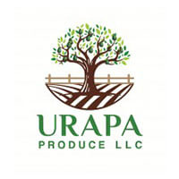 Urapa